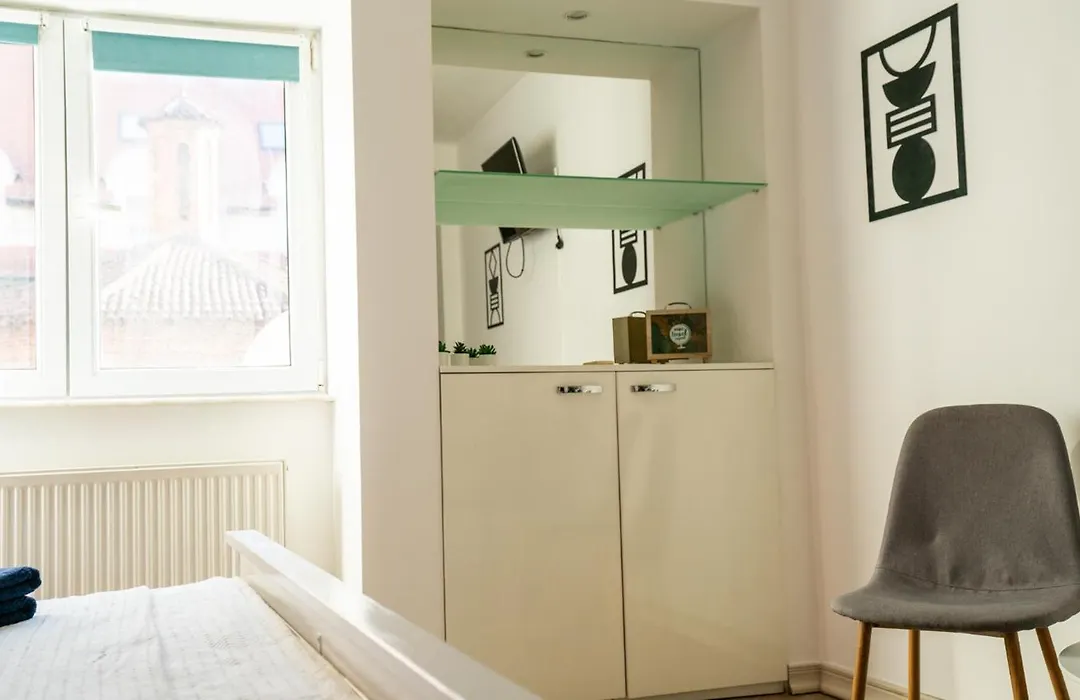 Cozy Studio Universitate-1